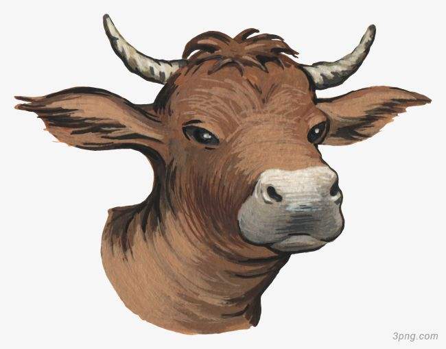 吉林市舒蘭市天德鄉(xiāng)反芻技術(shù)交流會(huì)圓滿成功！